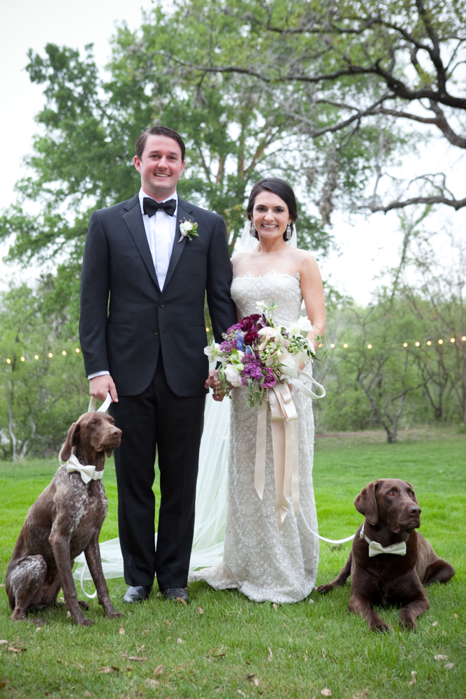 16_romantic-spring-ranch-wedding-dogs-collars