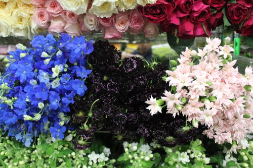 Travels // NYC Flower Market