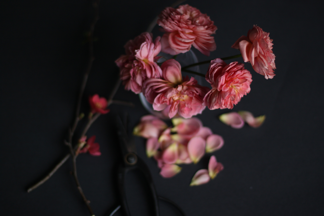 Pink Rose + Poppy Still Life // The Nouveau Romantics // Austin Wedding Planning and Event Design Studio