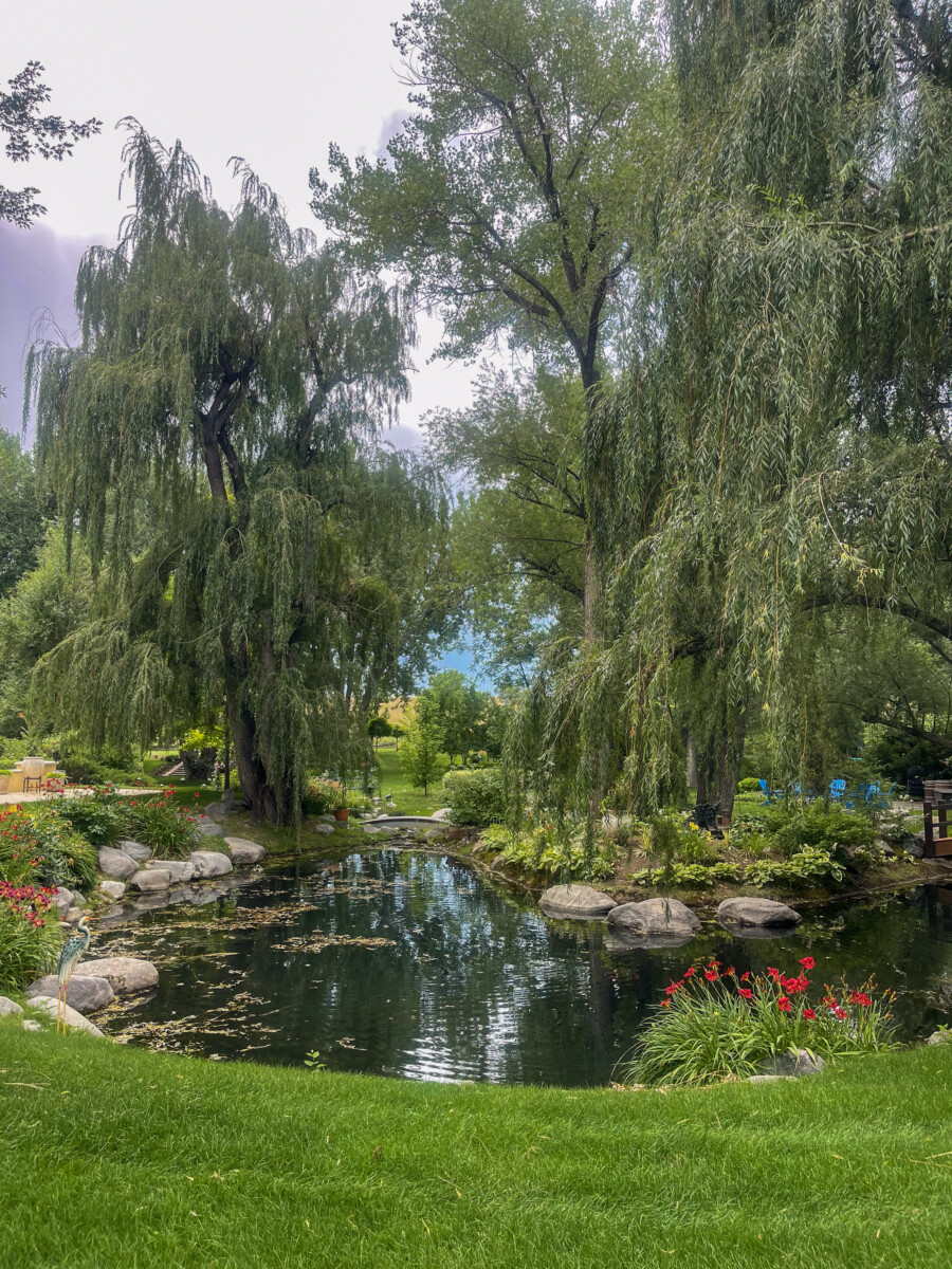 Garden and ponds on the grounds of Oceana's Garden, a private estate venue in Boulder, Colorado.