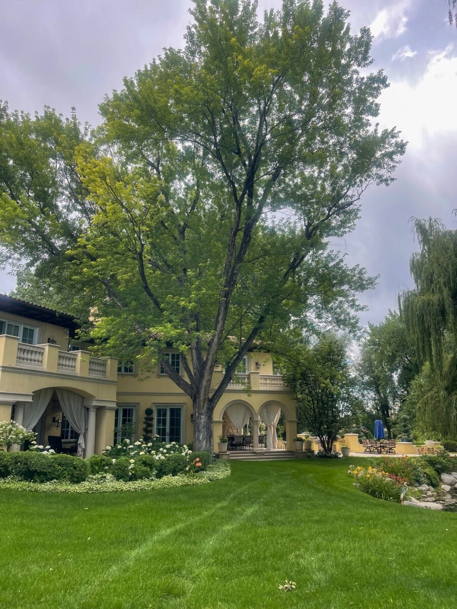 Oceana's Garden has a light yellow Mediterranean-style villa home that is a private estate and can be rented for weddings and events near Boulder, Colorado.